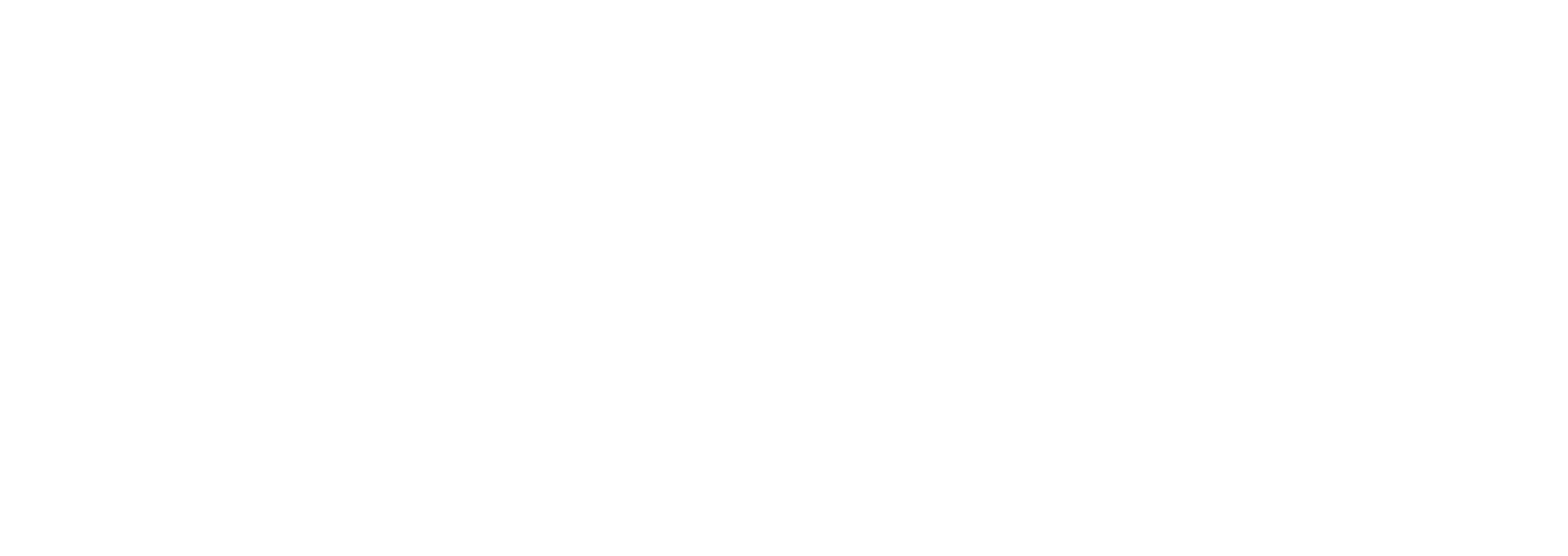 logo blanco